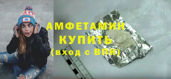 крисы Надым