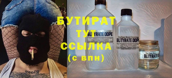 крисы Надым