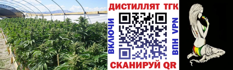 Дистиллят ТГК концентрат  kraken как зайти  Фрязино 