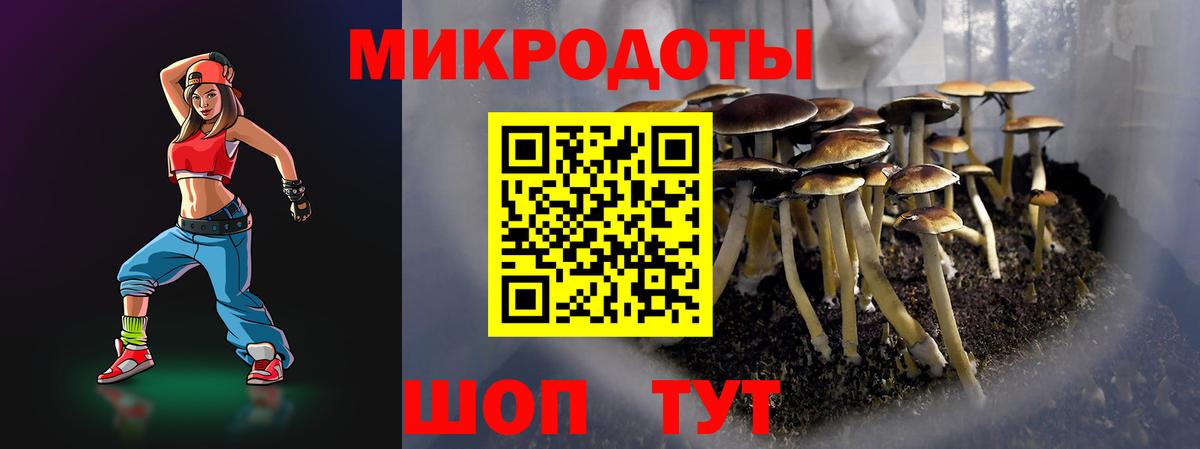 Фрязино  Псилоцибиновые грибы Magic Shrooms  где купить наркоту  Вход с VPN 